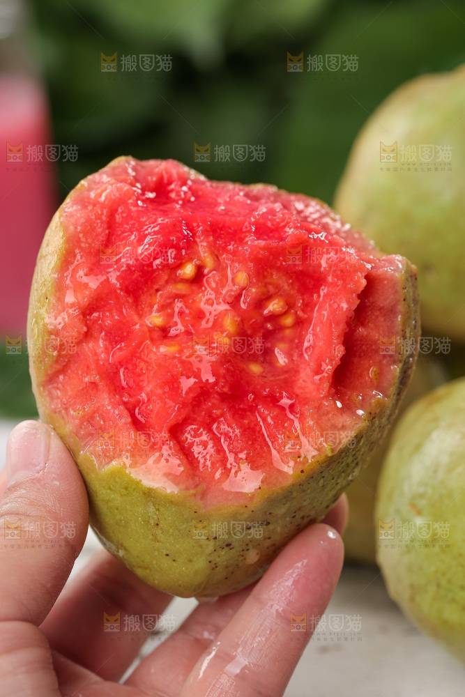 软心红芭乐