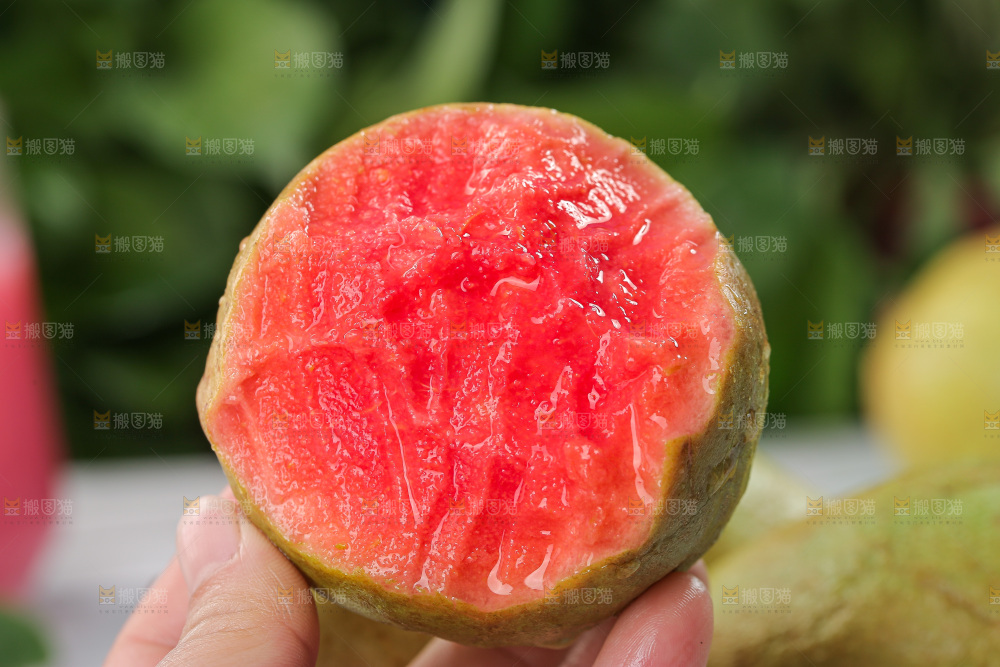 红心芭乐