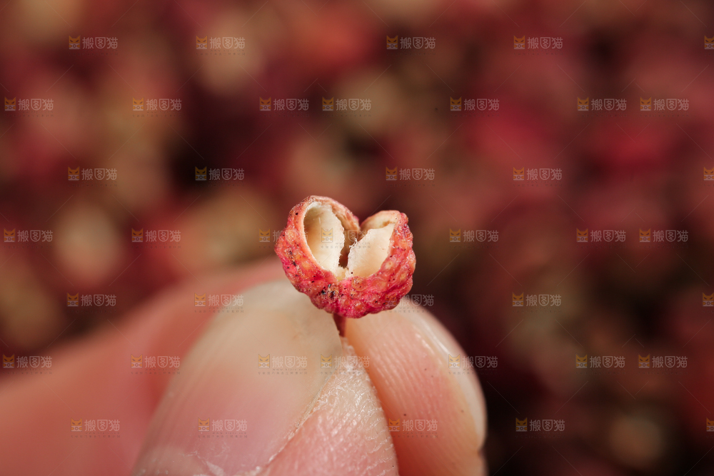 红花椒