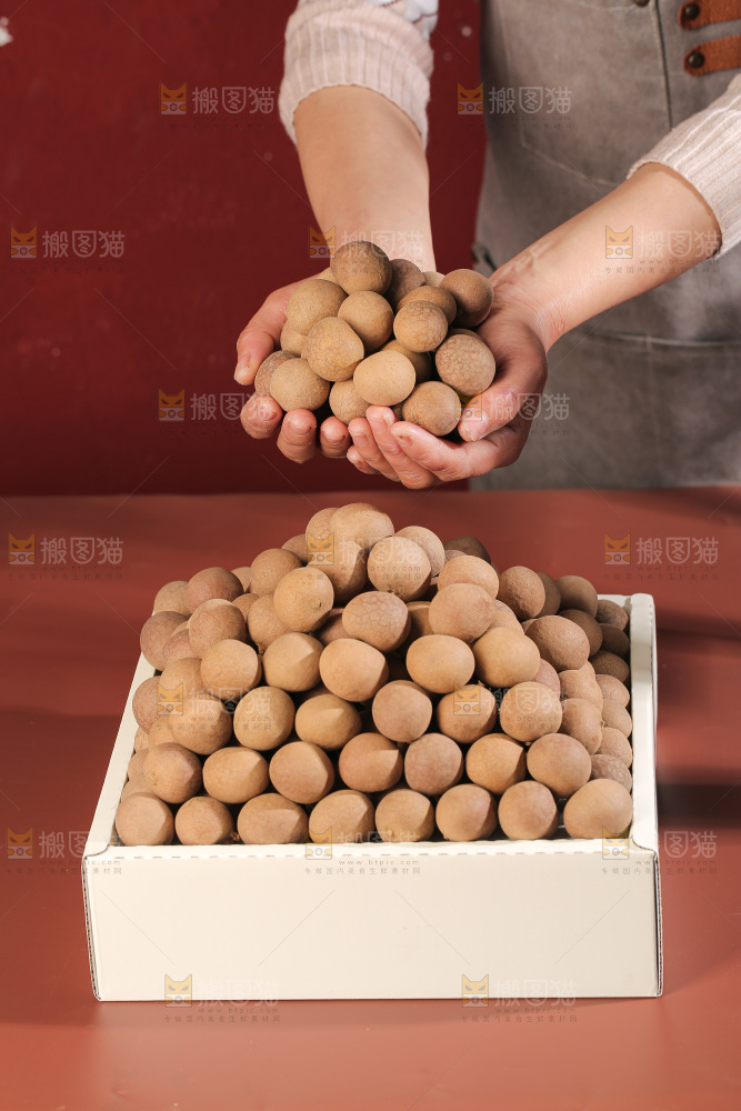 桂圆干