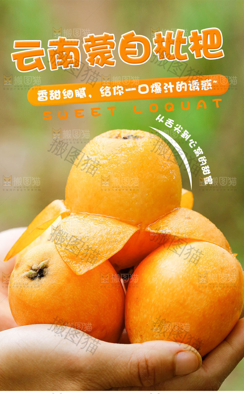 米易枇杷详情页