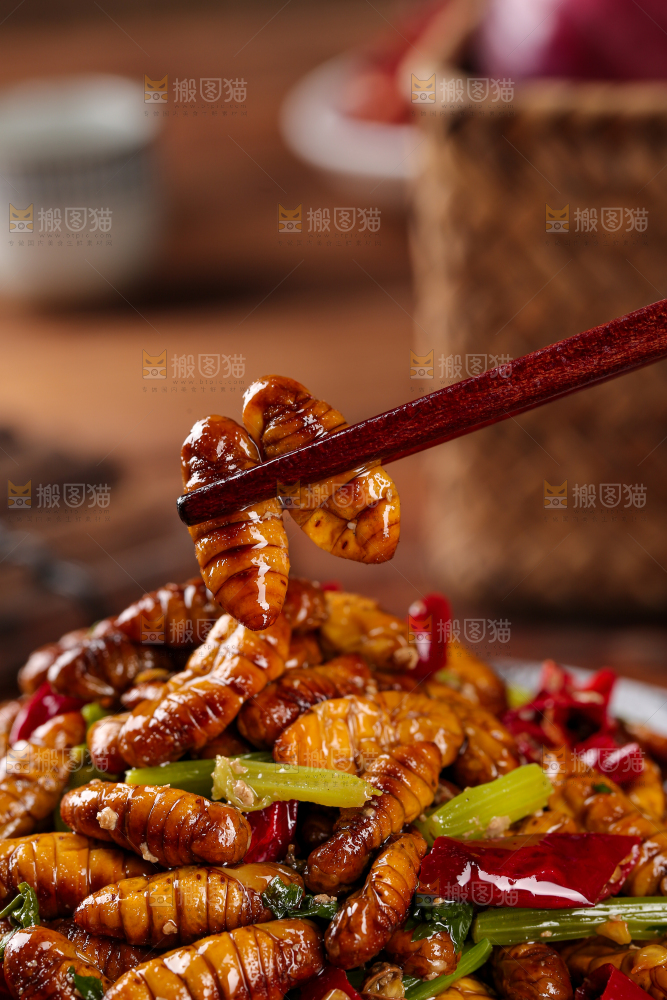 金丝蚕蛹