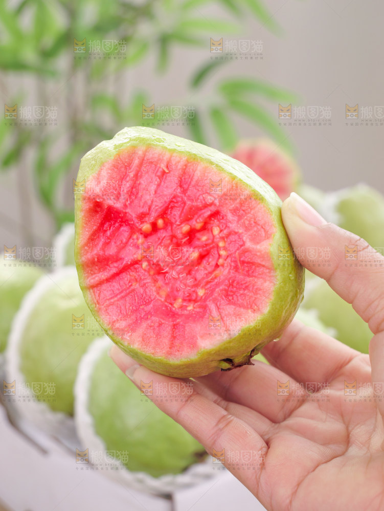 红心软芭乐