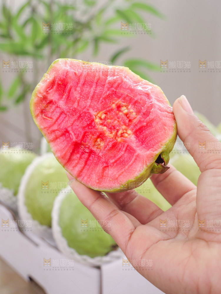 红心芭乐