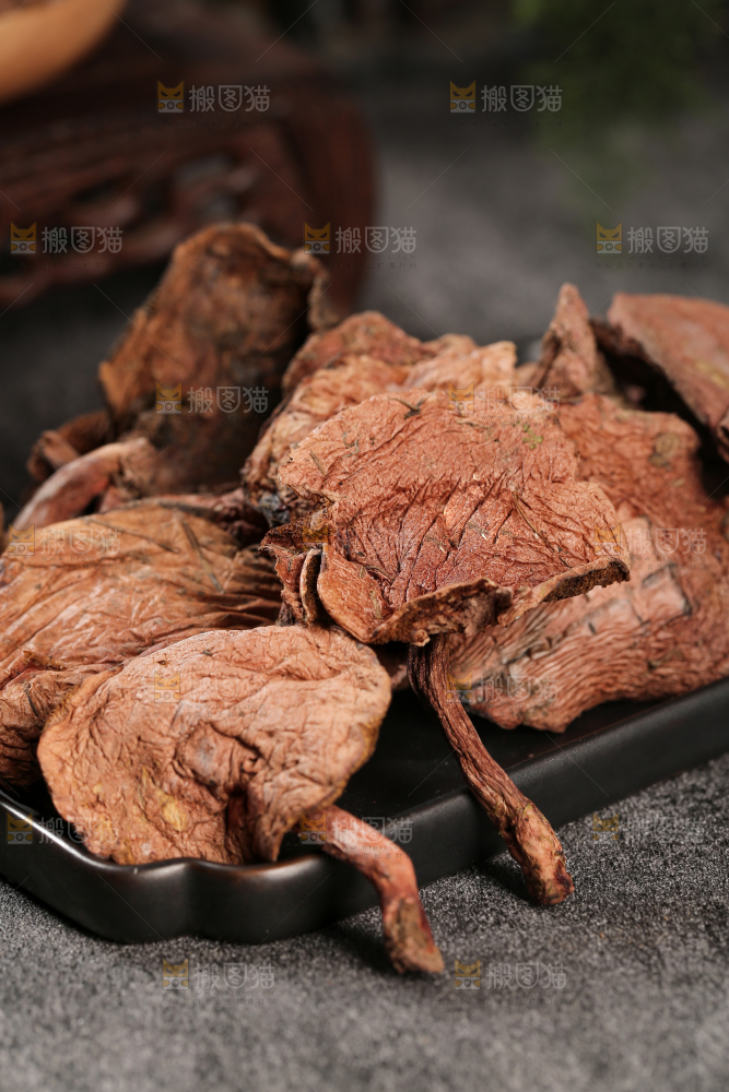 牛肝菌