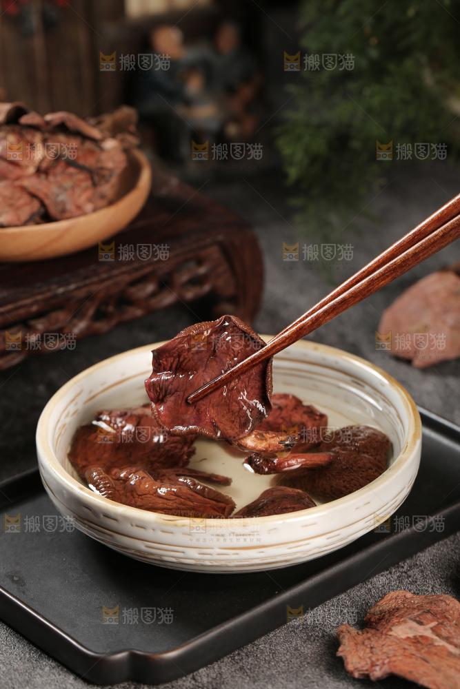 牛肝菌