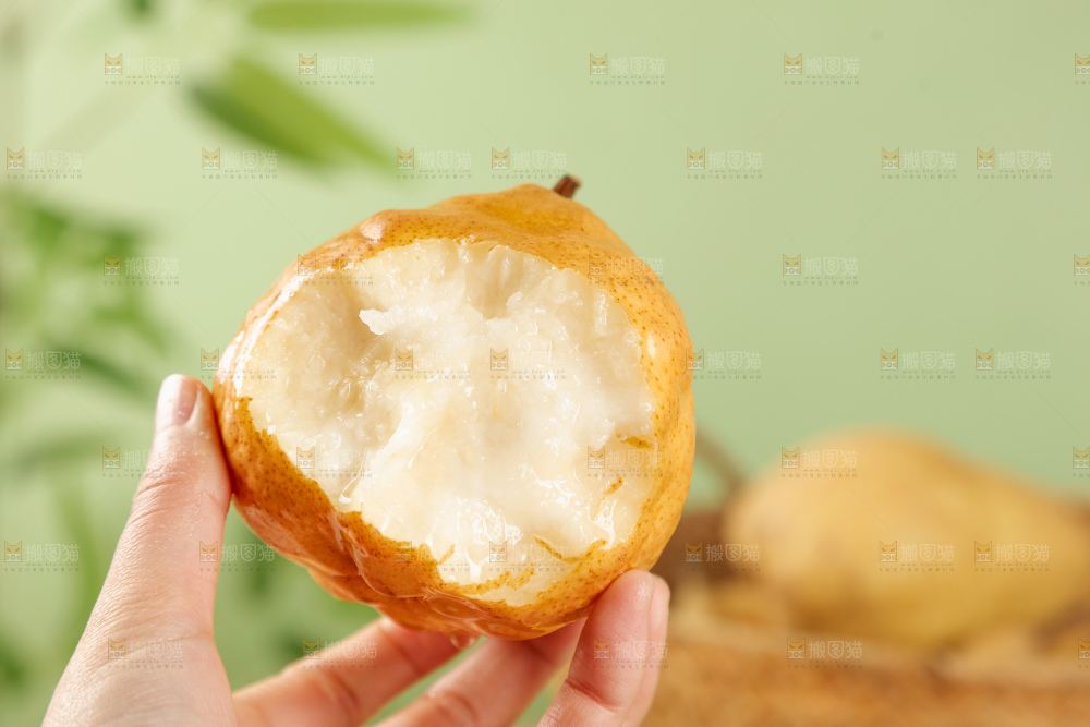 浅底上的丑梨