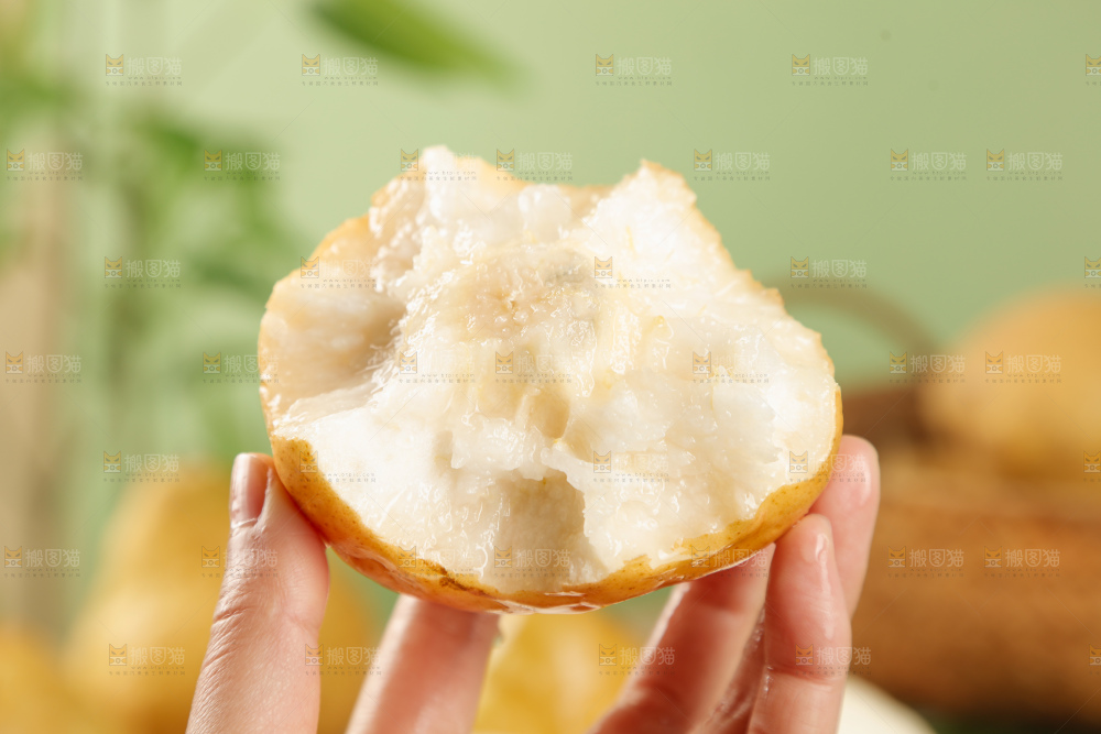 浅底上的丑梨