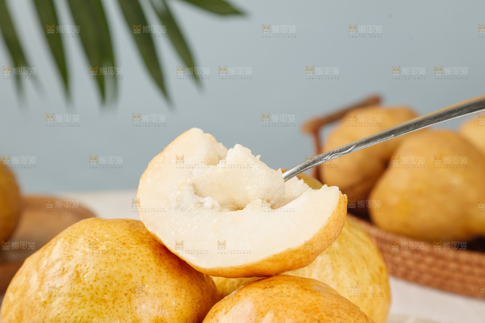 手里拿的丑梨