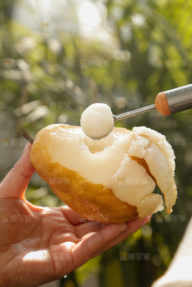 手里拿的丑梨
