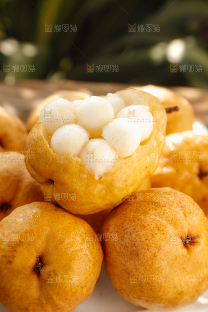 手里拿的丑梨