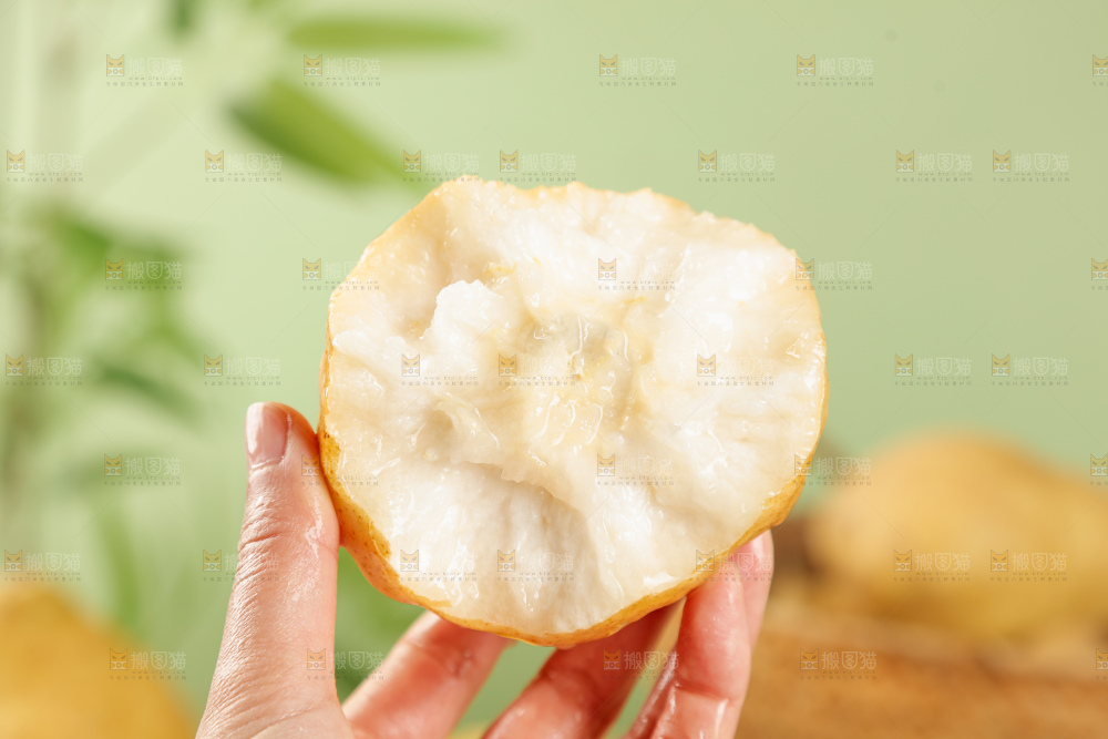 浅底上的丑梨
