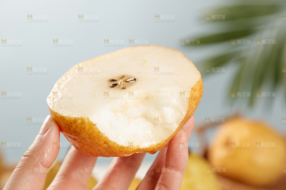 手里拿的丑梨