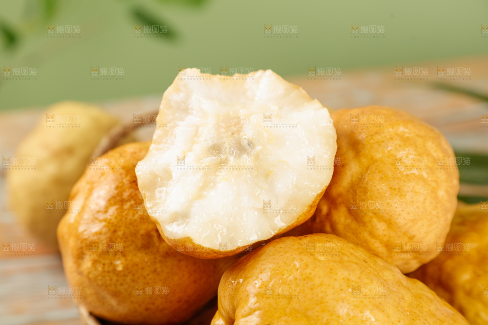 浅底上的丑梨