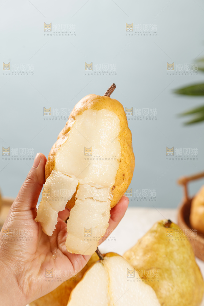 手里拿的丑梨