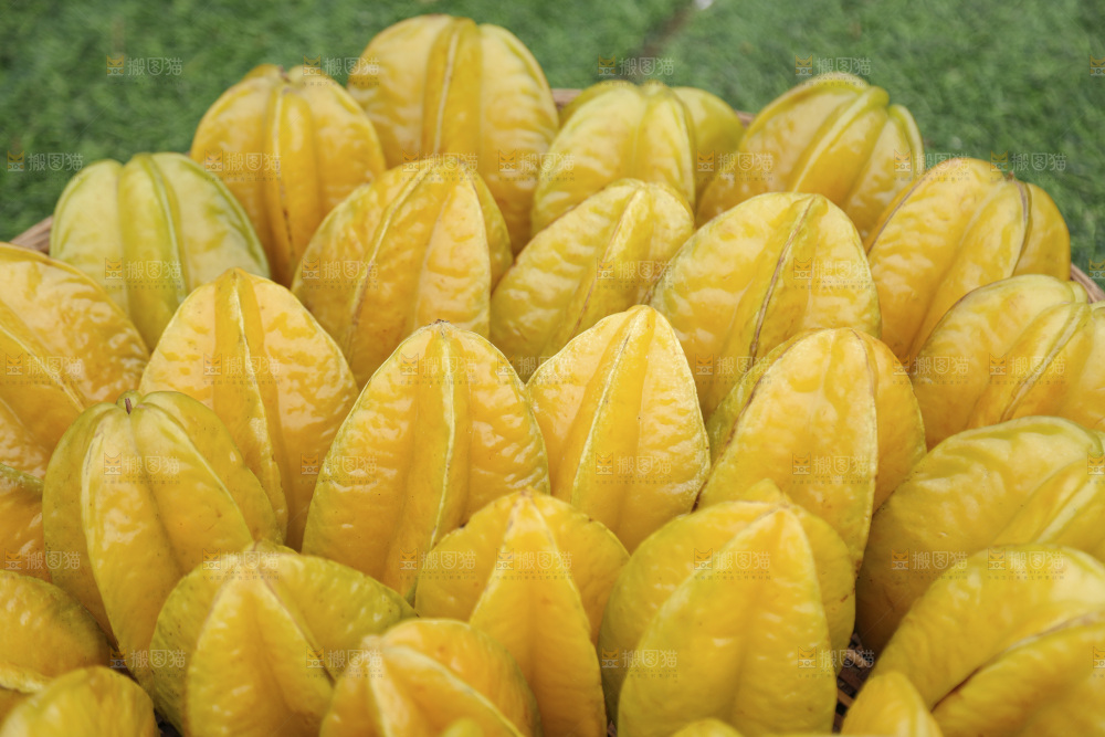 杨桃