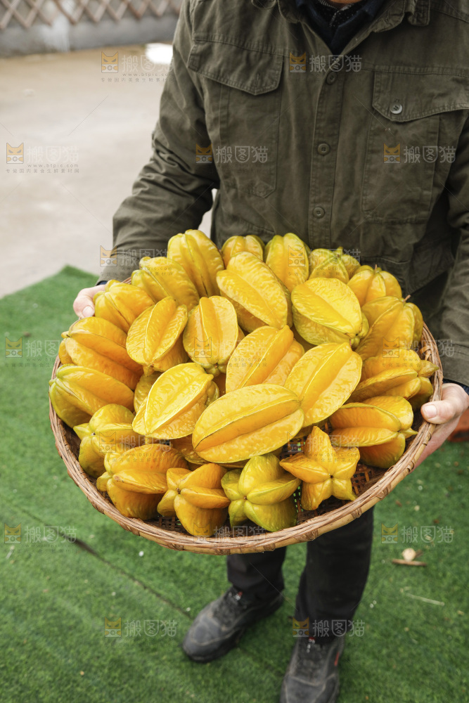 杨桃
