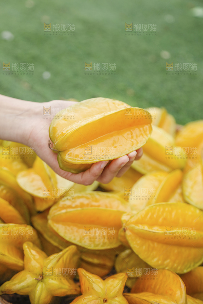 杨桃