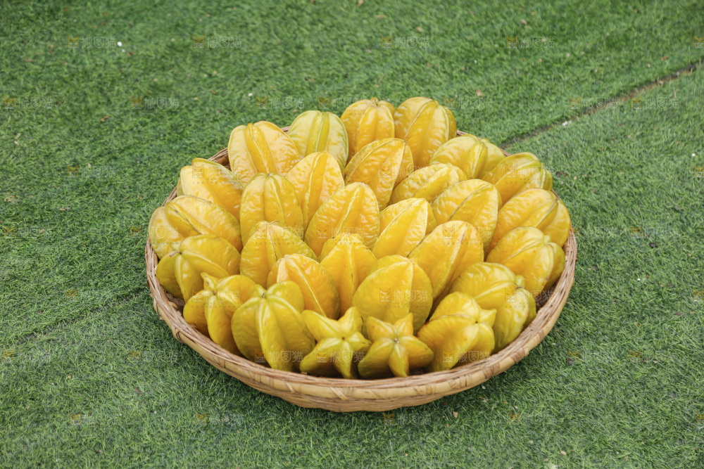 杨桃