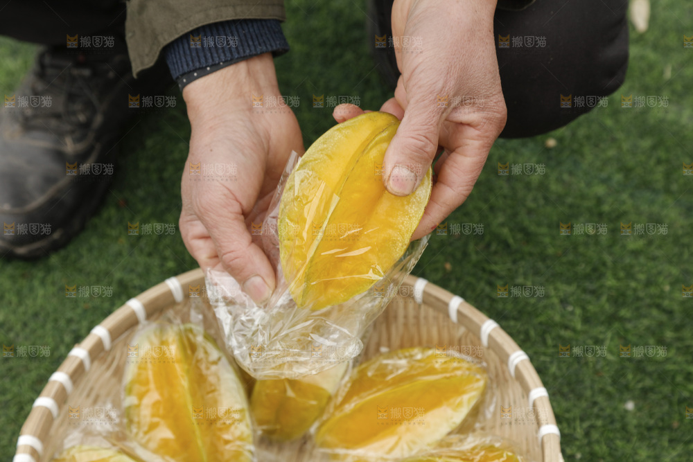 杨桃