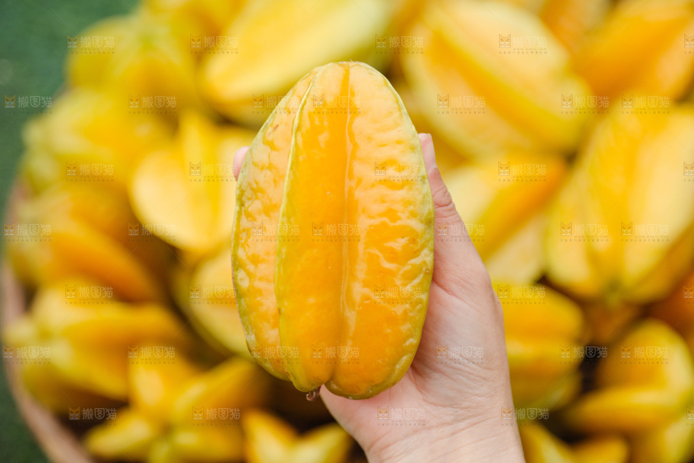 杨桃