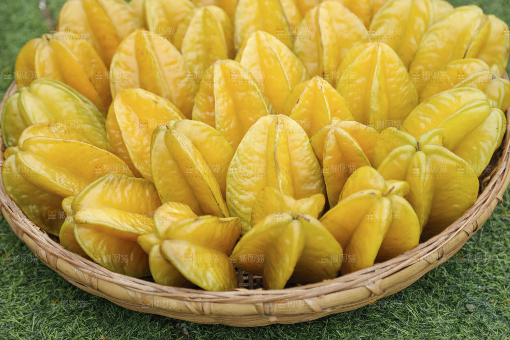 杨桃