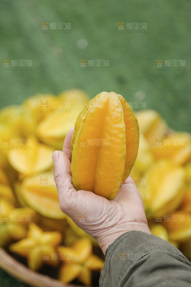 杨桃