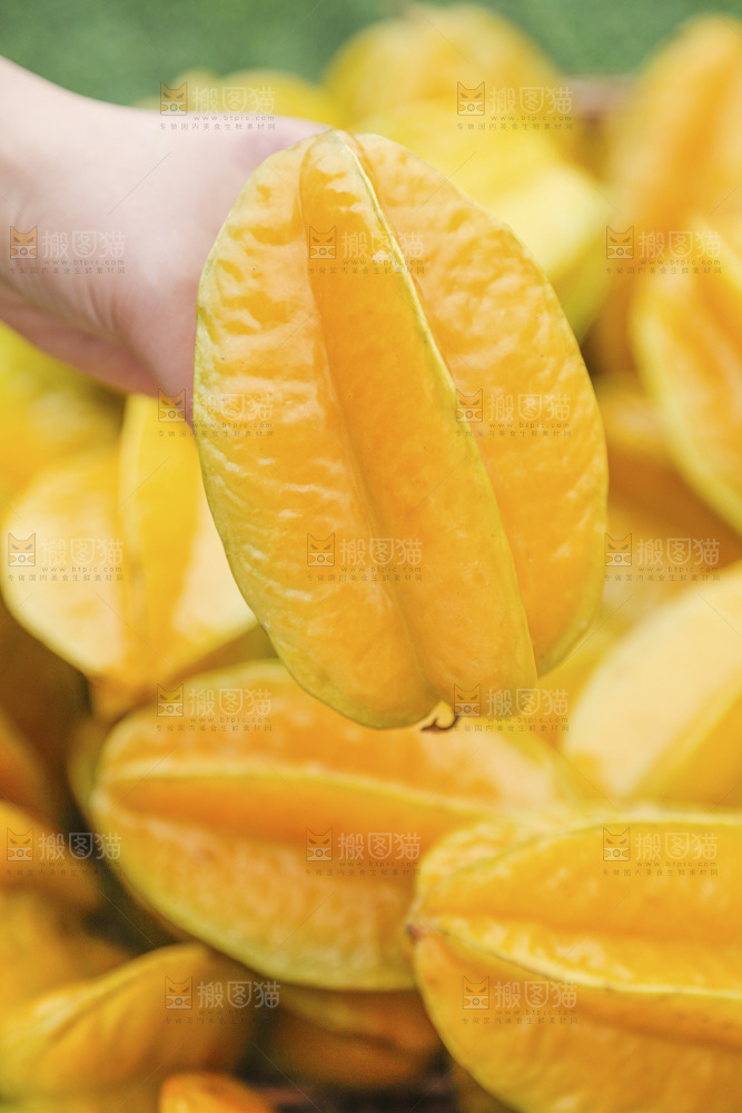 杨桃