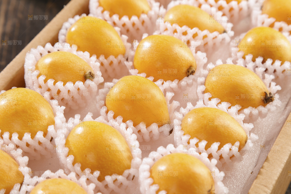 枇杷