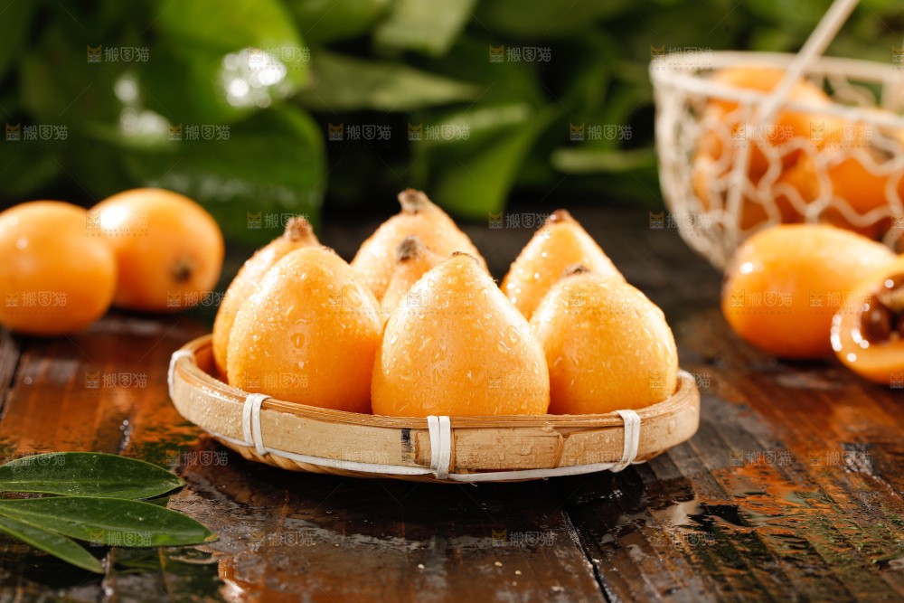 枇杷