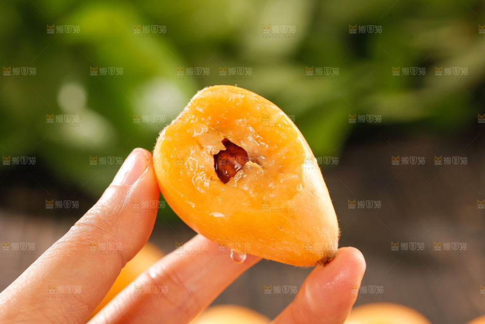 枇杷