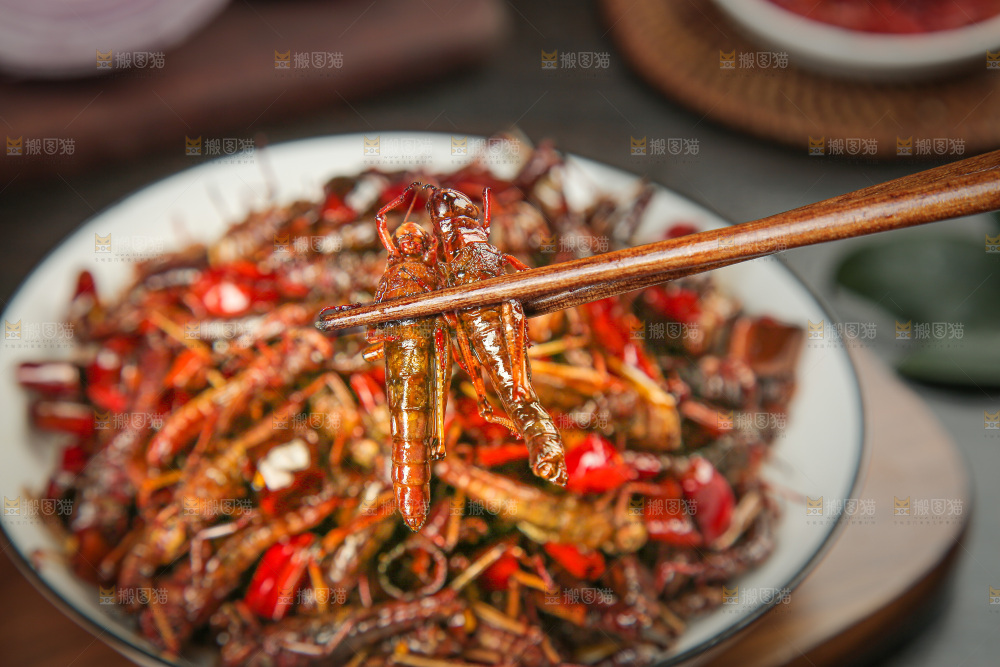 油炸蚂蚱