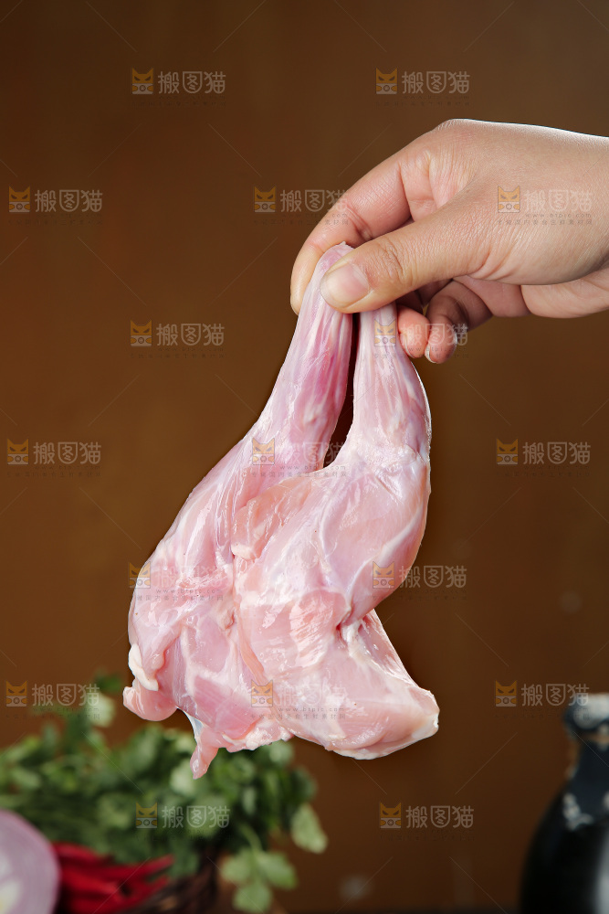 兔前腿