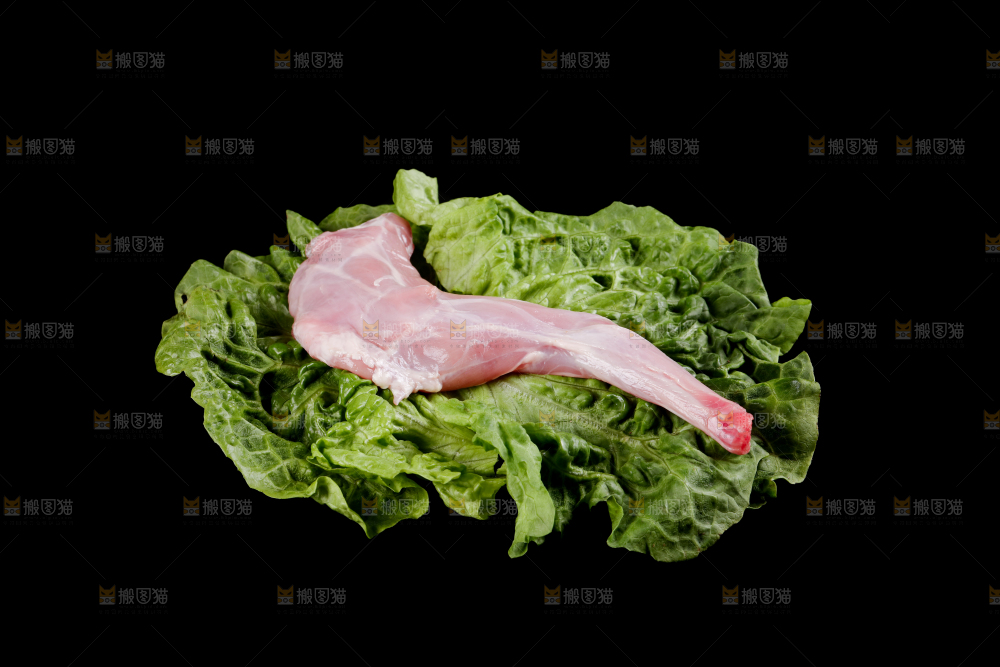 兔前腿