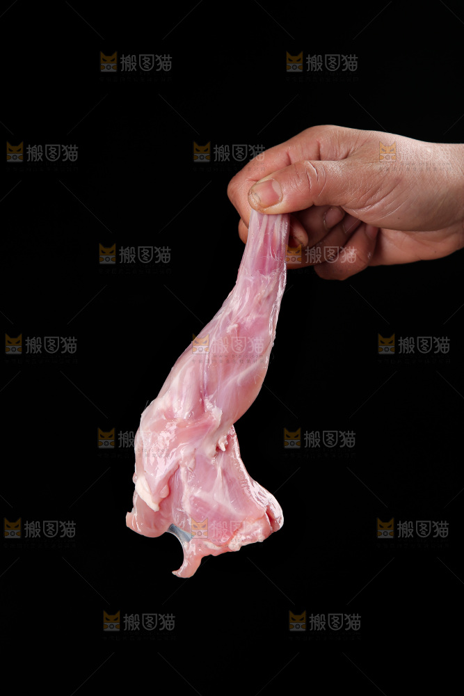 兔前腿
