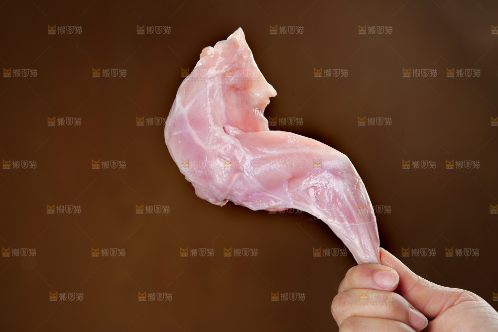 兔前腿
