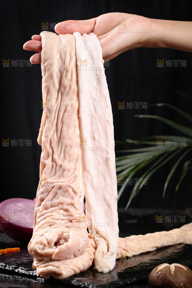 猪大肠