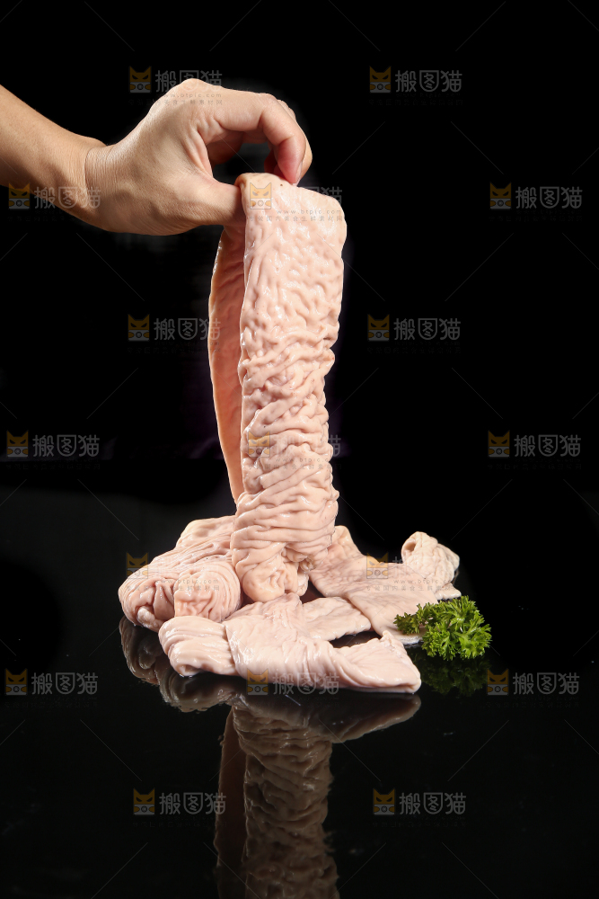 猪大肠