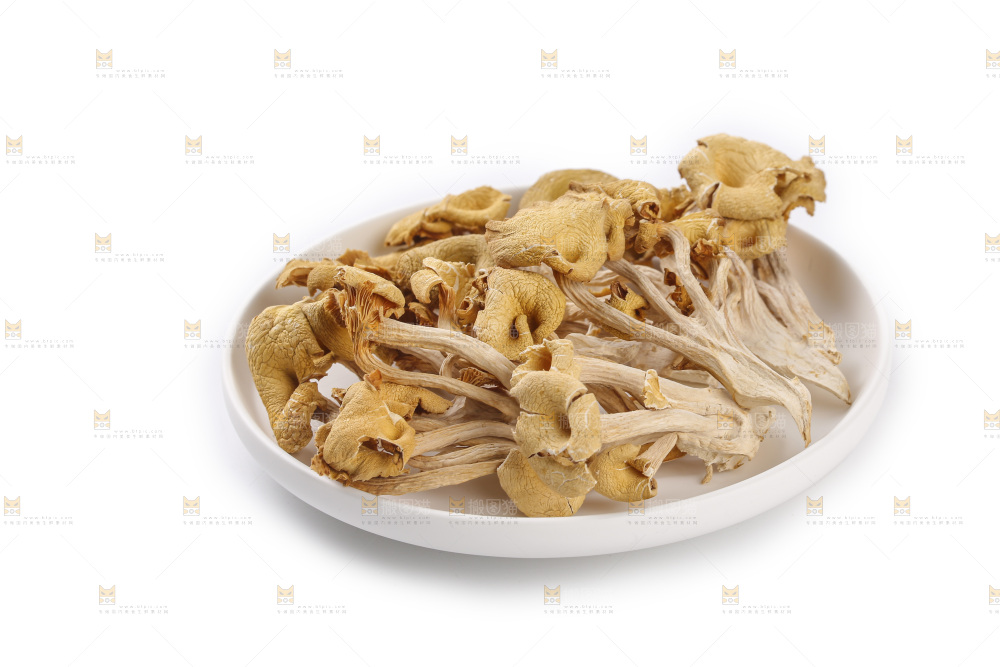 黄金菇