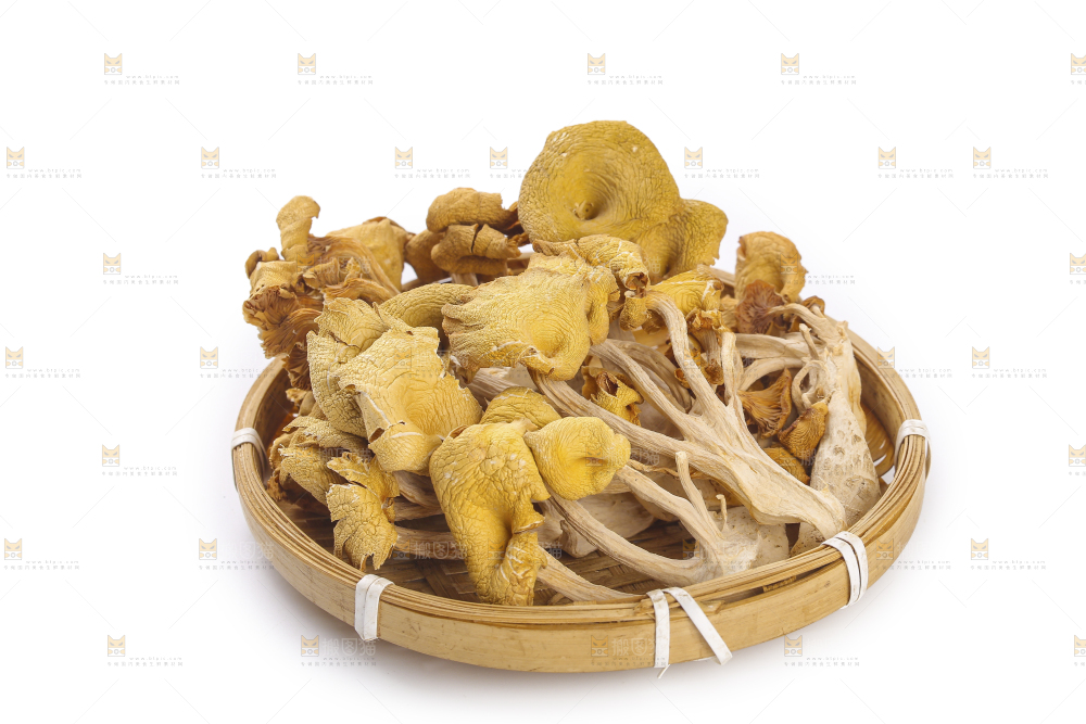 黄金菇