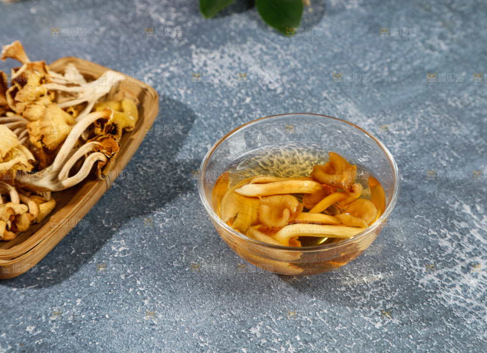牛肝菌