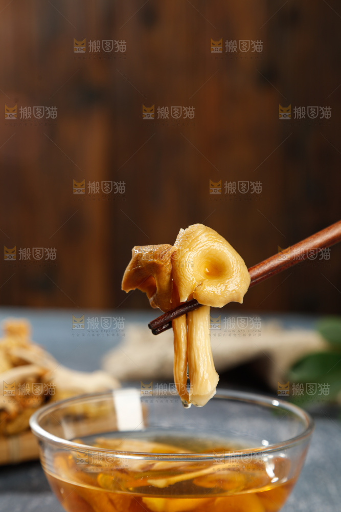 牛肝菌