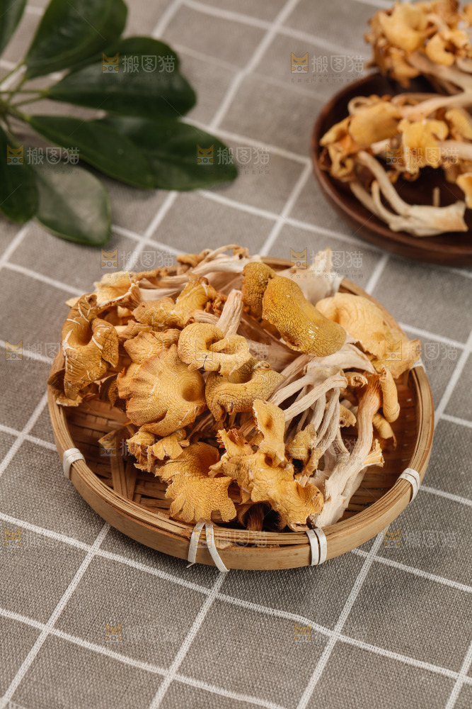 黄金菇