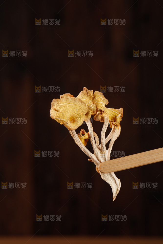 黄金菇