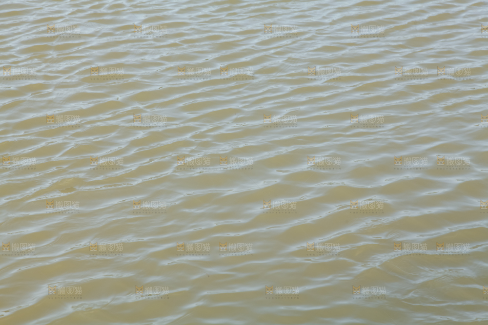 河道