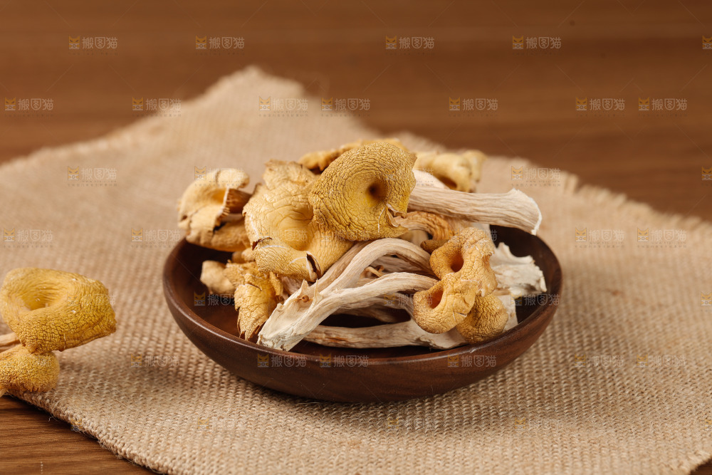 黄金菇