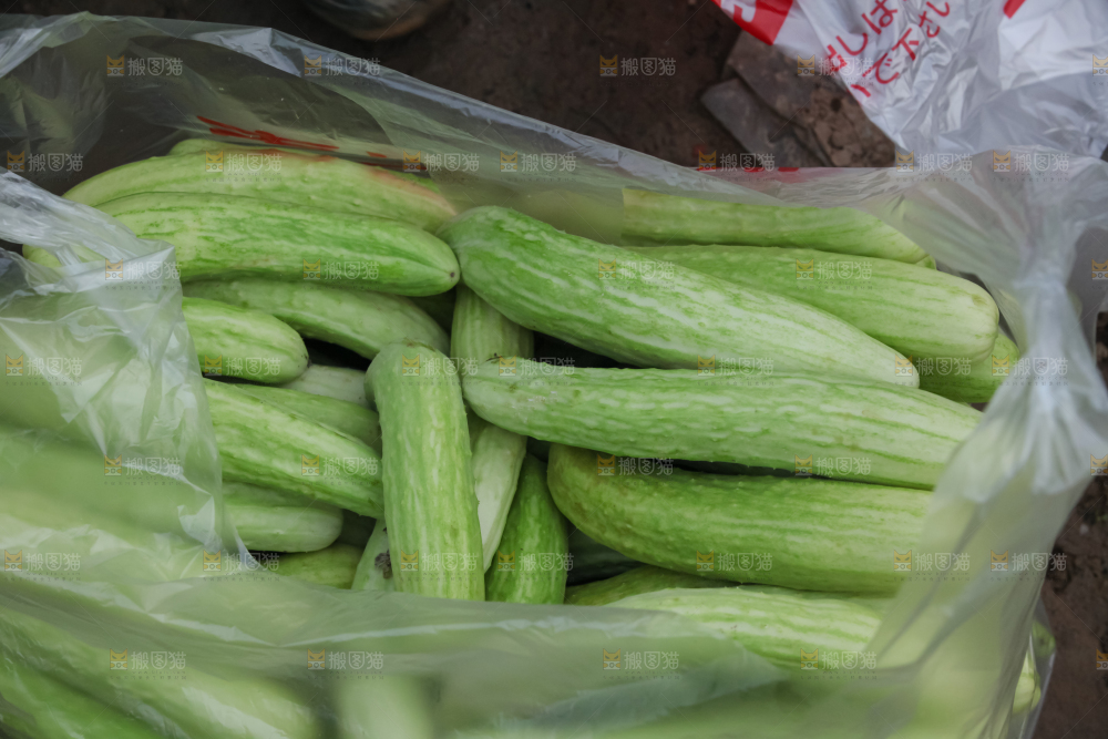 白玉黄瓜