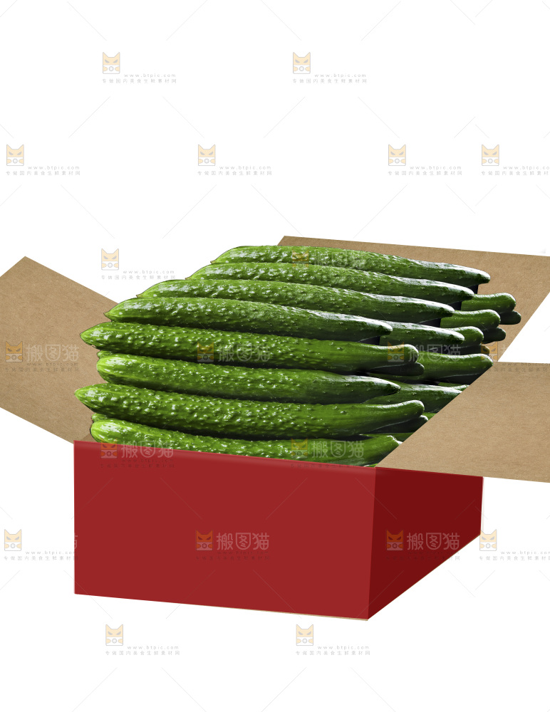 长黄瓜