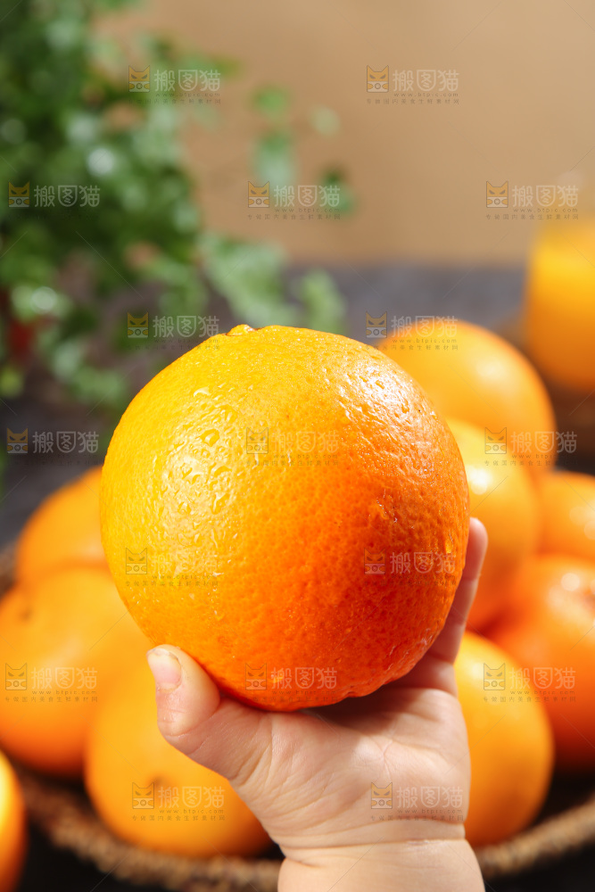 脐橙