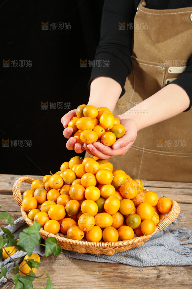 脆皮金桔